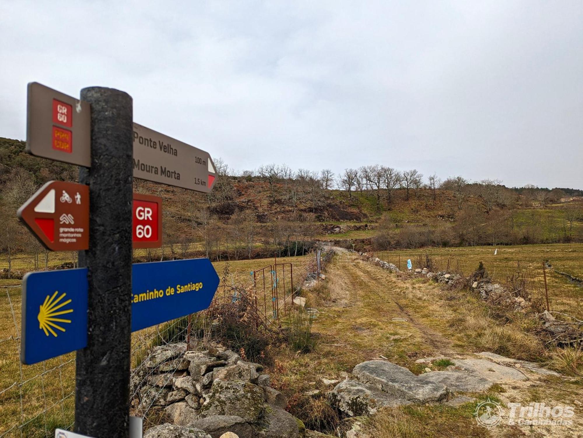 Costilhao Chale Pouso Da Serra - Casas De Montanha المظهر الخارجي الصورة